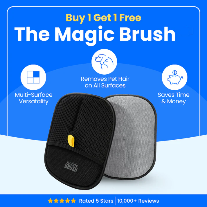 ๐๐The Magic Brush - Buy 1 Get 1 Free