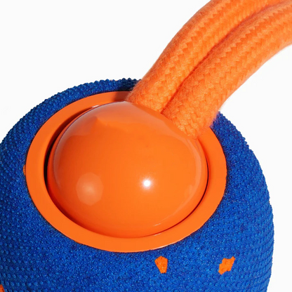 🔥2026 New Release - 50% OFF - RolloPaw™ Interactive Pet Toy Ball: Automatic Self-Moving Dog Toy for Boredom & Mental Stimulation 🐾 Quiet & Gentle on Teeth ✨