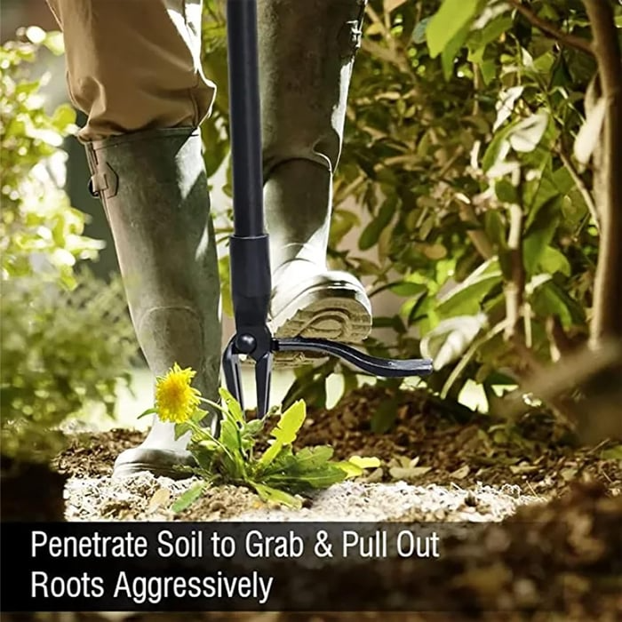 🔥LAST DAY SALE 49% OFF-Detachable Stand Up Weed Puller