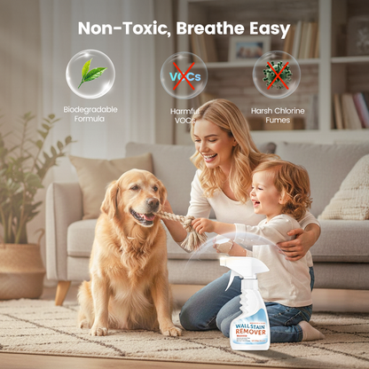 🔥2026 New formula Hot Sale🔥Highly Effective Mould Removal Spray - Prevents Mould Regrowth