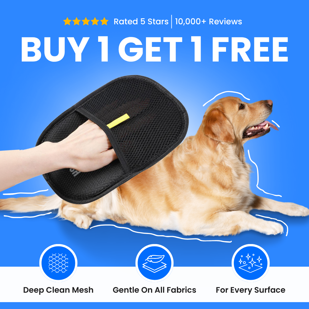 🚀🚀The Magic Brush - Buy 1 Get 1 Free