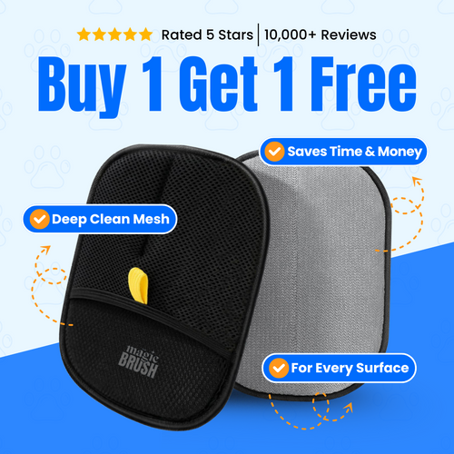 🚀🚀The Magic Brush - Buy 1 Get 1 Free